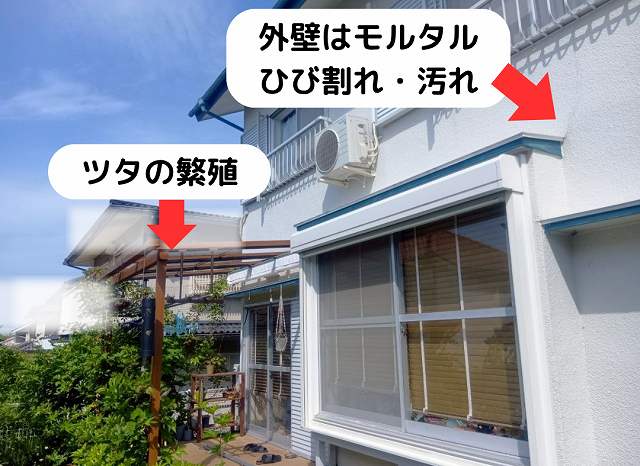 外壁モルタル　ツタ